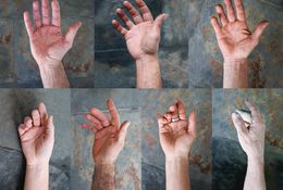  Seven Sculptors